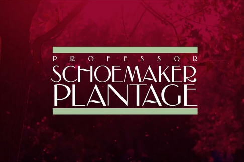 Sfeervideo Professor Schoemaker Plantage