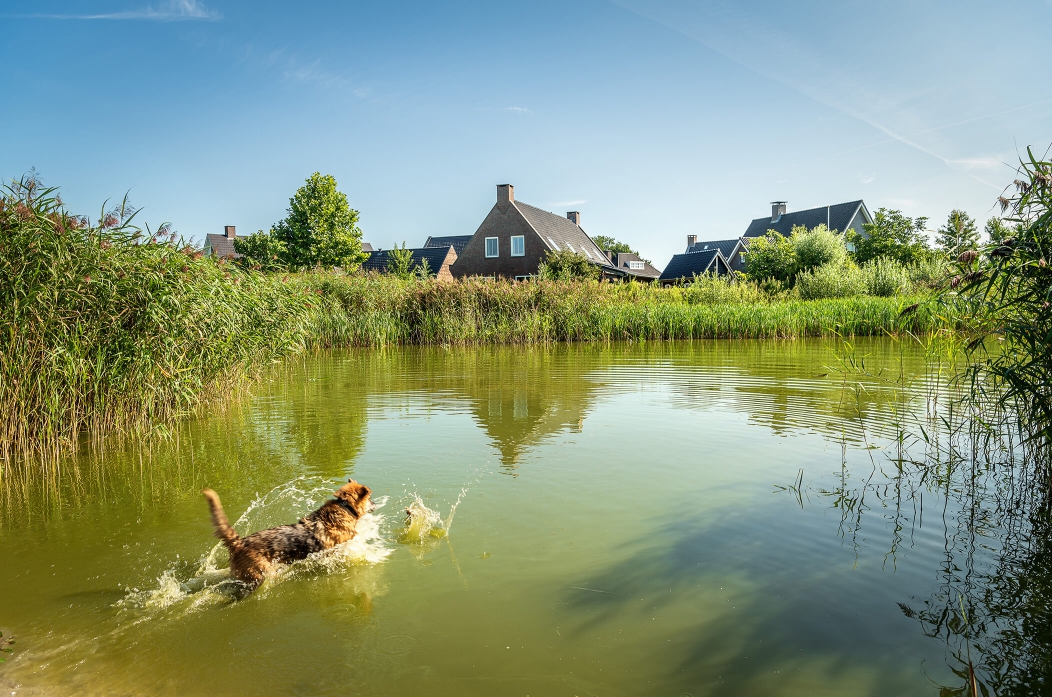 Ruimte voor Ruimte, 30 woningen Merlenberg