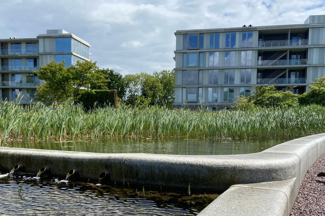 Engelse Park - Groningen