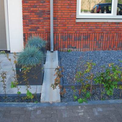 Klimaatbestendigheid als basis